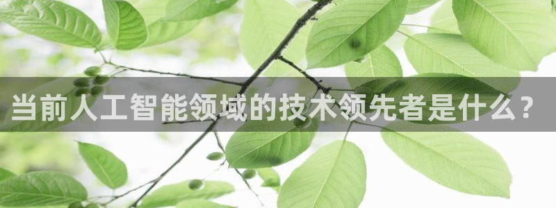 当前人工智能领域的技术领先者是什么？