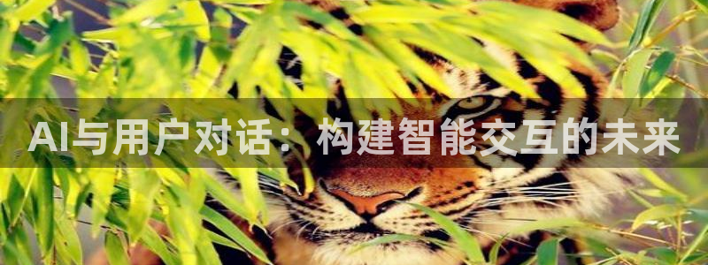 AI与用户对话：构建智能交互的未来