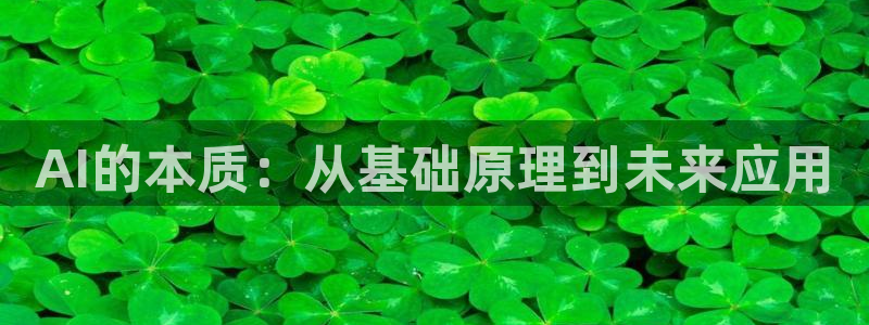 AI的本质：从基础原理到未来应用
