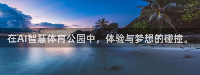 在AI智慧体育公园中，体验与梦想的碰撞。