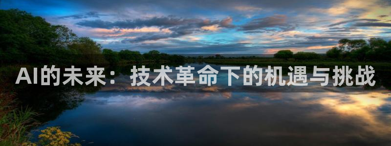 AI的未来：技术革命下的机遇与挑战