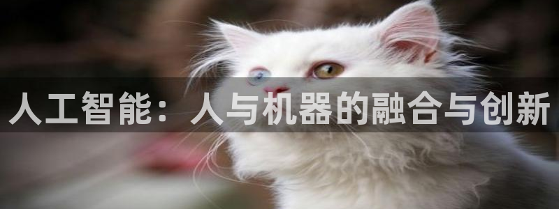人工智能：人与机器的融合与创新