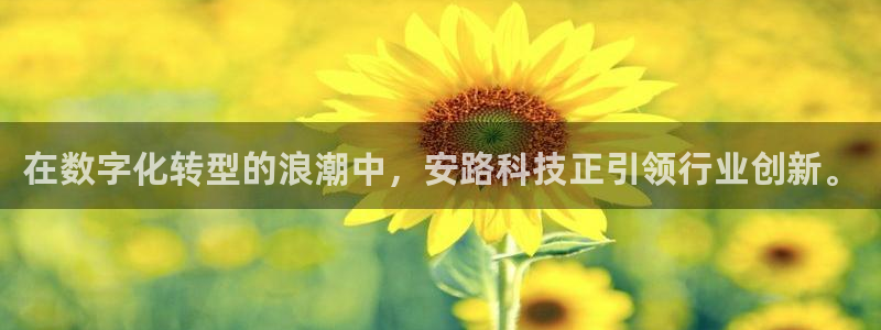 在数字化转型的浪潮中，安路科技正引领行业创新。