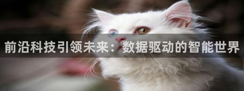 前沿科技引领未来：数据驱动的智能世界