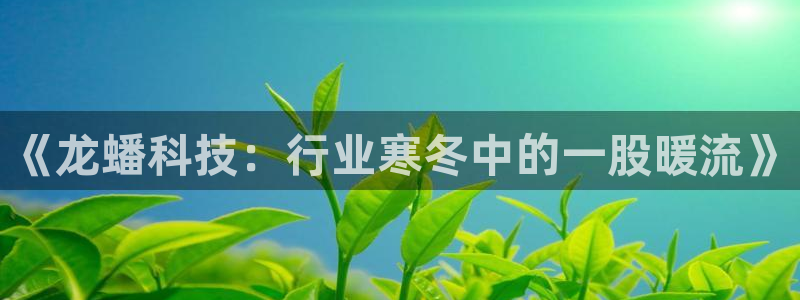 《龙蟠科技：行业寒冬中的一股暖流》