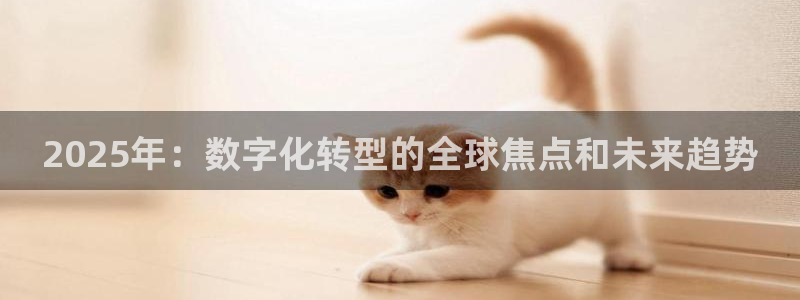2025年：数字化转型的全球焦点和未来趋势