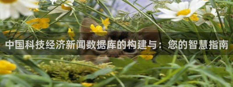 中国科技经济新闻数据库的构建与：您的智慧指南