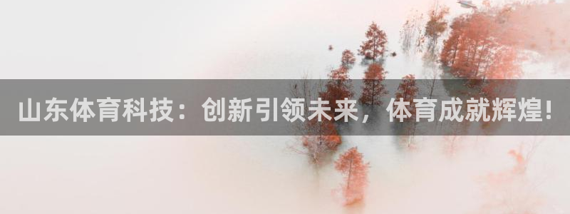 山东体育科技：创新引领未来，体育成就辉煌!