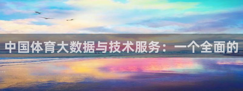 中国体育大数据与技术服务：一个全面的
