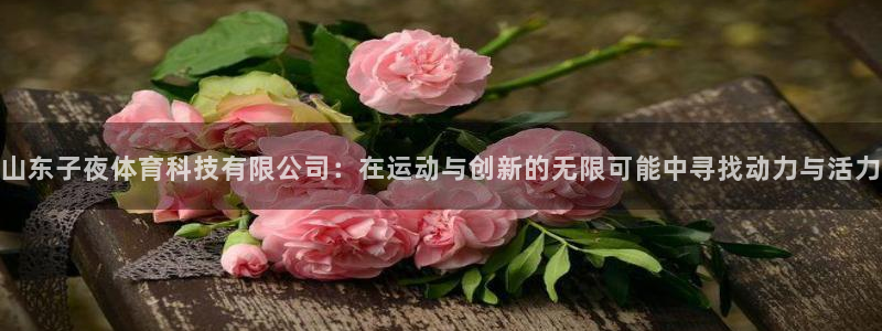 山东子夜体育科技有限公司：在运动与创新的无限可能中寻找动力与活力