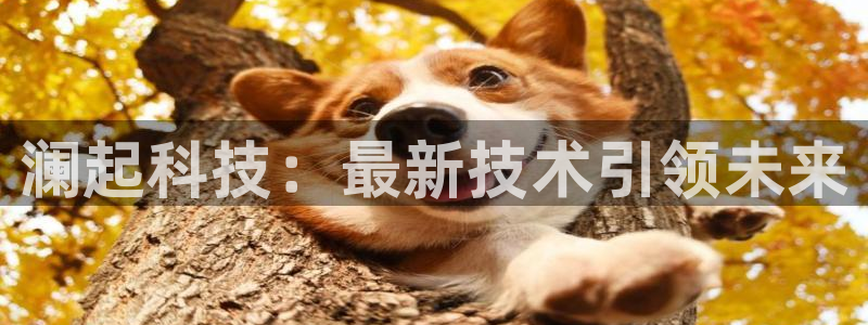 澜起科技：最新技术引领未来