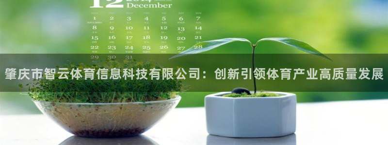 肇庆市智云体育信息科技有限公司：创新引领体育产业高质量发展