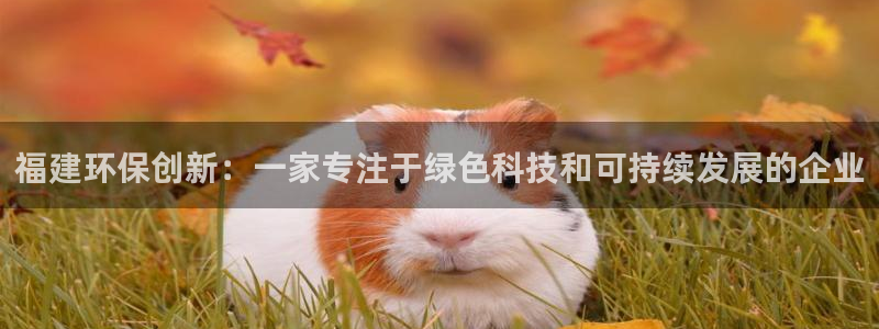 福建环保创新：一家专注于绿色科技和可持续发展的企业