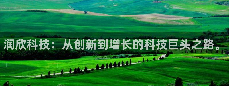 润欣科技：从创新到增长的科技巨头之路。
