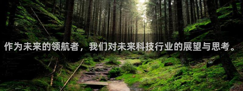 作为未来的领航者，我们对未来科技行业的展望与思考。
