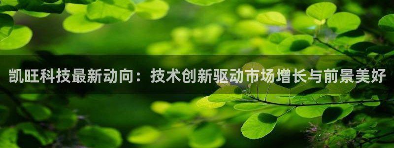 凯旺科技最新动向：技术创新驱动市场增长与前景美好