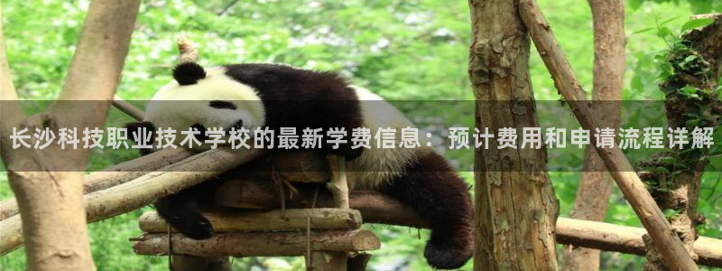 长沙科技职业技术学校的最新学费信息：预计费用和申请流程详解