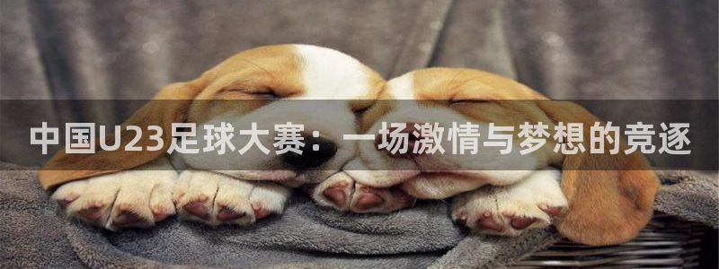 中国U23足球大赛：一场激情与梦想的竞逐