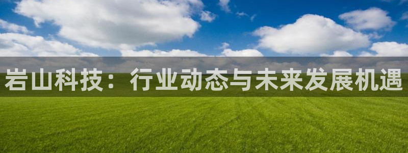 岩山科技：行业动态与未来发展机遇