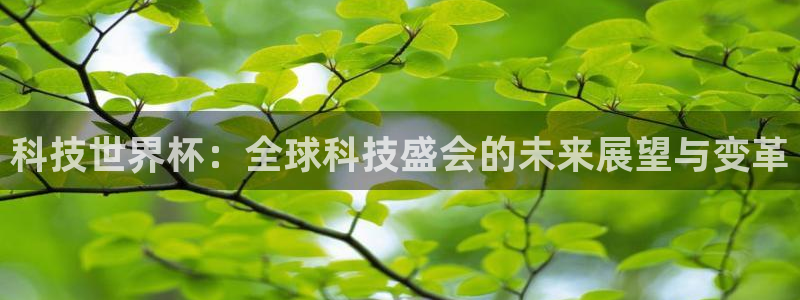 科技世界杯：全球科技盛会的未来展望与变革