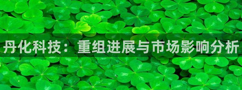 丹化科技：重组进展与市场影响分析