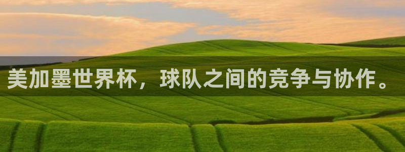 美加墨世界杯，球队之间的竞争与协作。