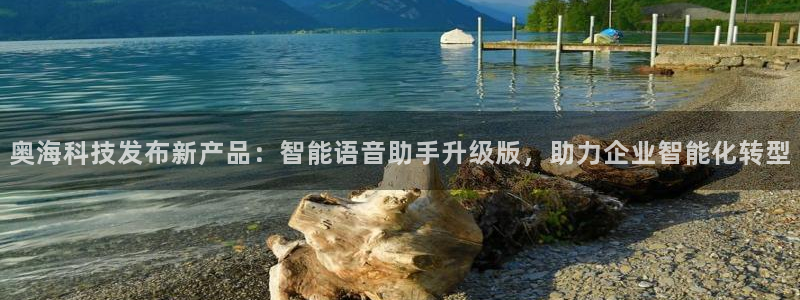 奥海科技发布新产品：智能语音助手升级版，助力企业智能化转型