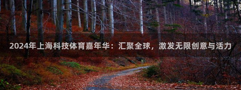 2024年上海科技体育嘉年华：汇聚全球，激发无限创意与活力