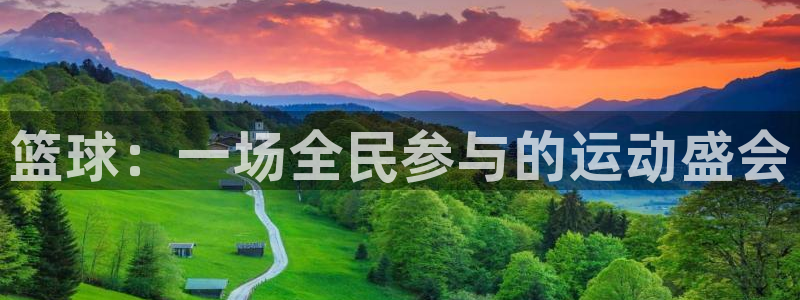 篮球：一场全民参与的运动盛会