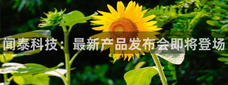 闻泰科技：最新产品发布会即将登场