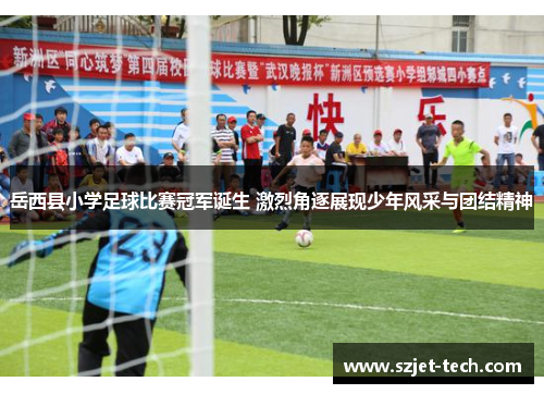 岳西县小学足球比赛冠军诞生 激烈角逐展现少年风采与团结精神